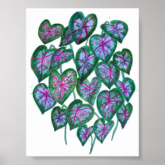 Affiche Caladiums colorés Aquarelle Art Rose Vert (Devant)