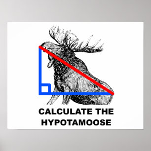 Affiche Calculer l'Affiche Drôle de l'Hypotamoose