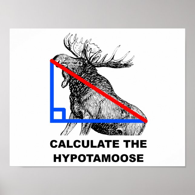 Affiche Calculer l'Affiche Drôle de l'Hypotamoose (Devant)