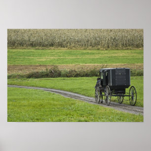 Affiche Calèche amish sur une allée de ferme, Ohio du Nord