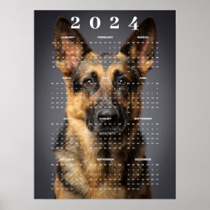Affiche Calendrier 2024 de photos de chiens de berger alle