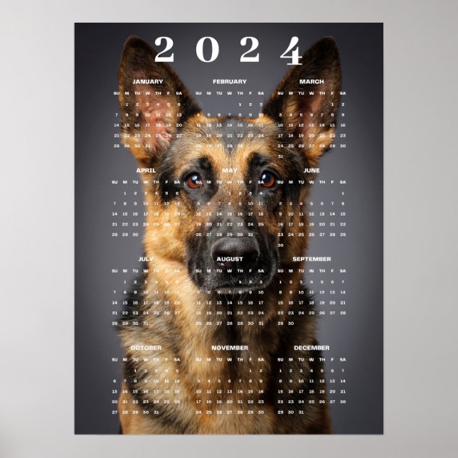 Affiche Calendrier 2024 de Photos de Chiens de Berger Alle (Devant)