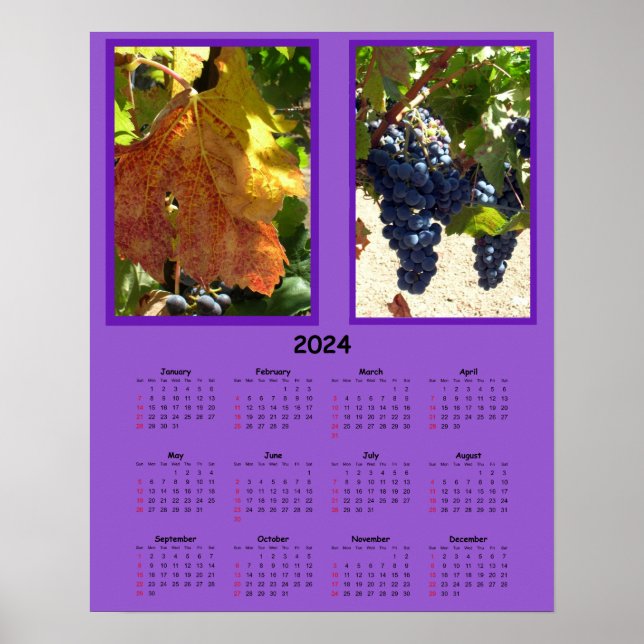 Affiche Calendrier - 2024 Raisins sur la vigne (Devant)