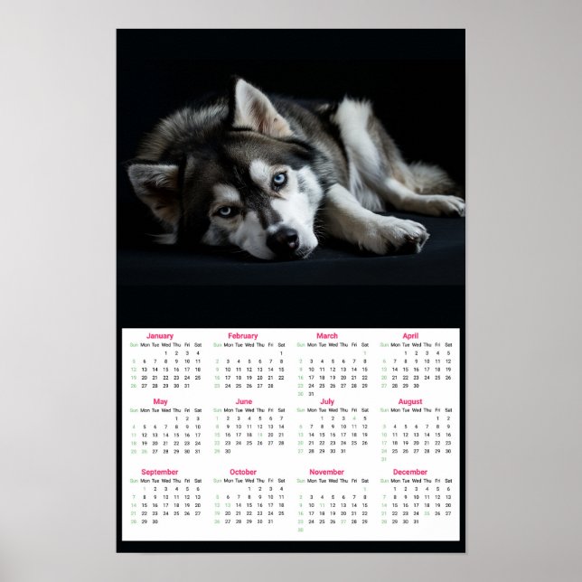 Affiche Calendrier 2025 de Husky de Sibérie (Devant)