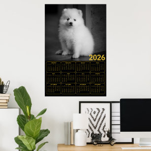 Affiche Calendrier 2026 de chiot Bichon Frise