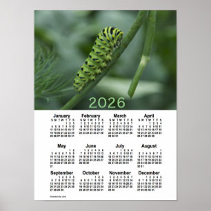 Affiche Calendrier 2026 de la chenille d'avale par Janz