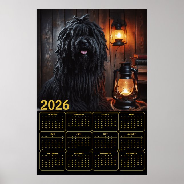 Affiche Calendrier 2026 Komondor avec lanternes et livres (Devant)