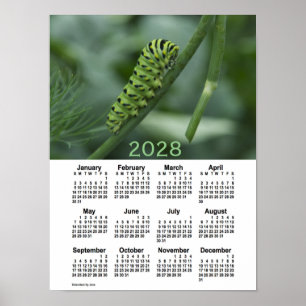 Affiche Calendrier 2028 de la chenille d'avale par Janz