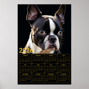 Affiche Calendrier Boston Terrier 2026