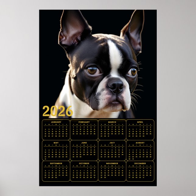 Affiche Calendrier Boston Terrier 2026 (Devant)