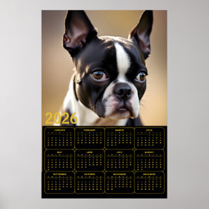 Affiche Calendrier Boston Terrier 2026