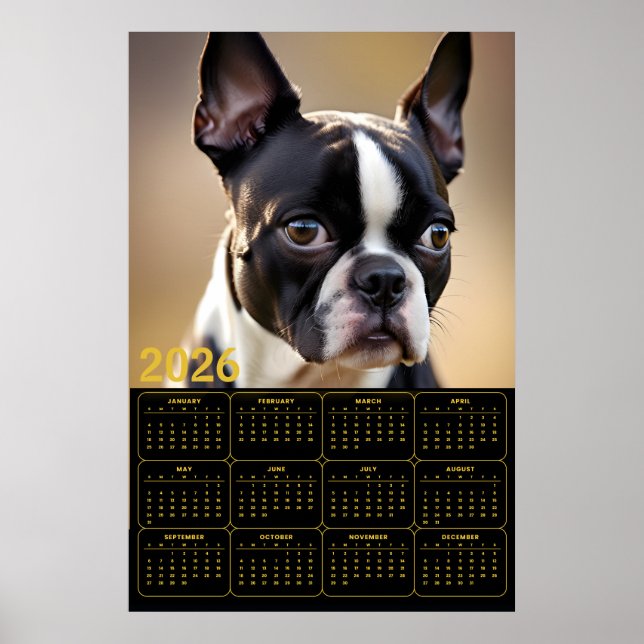 Affiche Calendrier Boston Terrier 2026 (Devant)