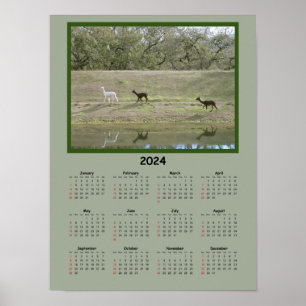 Affiche Calendrier - Calendrier Alpaca 2024