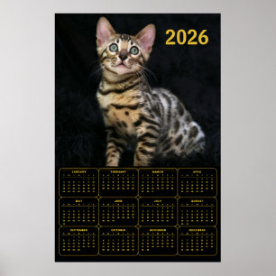 Affiche Calendrier Chat Bengal 2026