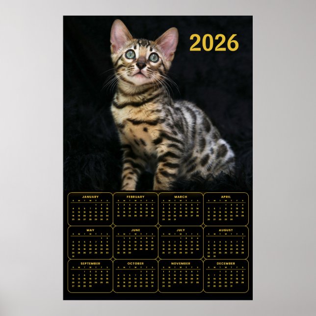Affiche Calendrier Chat Bengal 2026 (Devant)