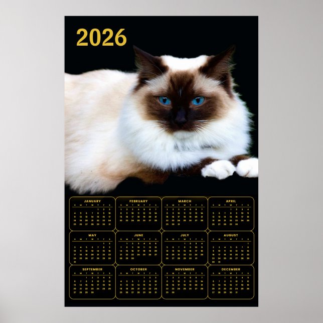 Affiche Calendrier Chat Birman 2026  (Devant)