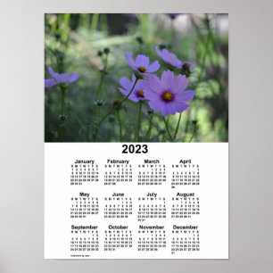 Affiche Calendrier Cosmos 2023 par Janz