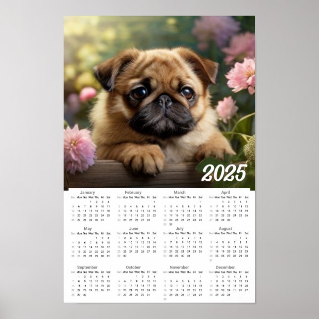 Affiche Calendrier de mignon chien Carlin 2025 (Devant)