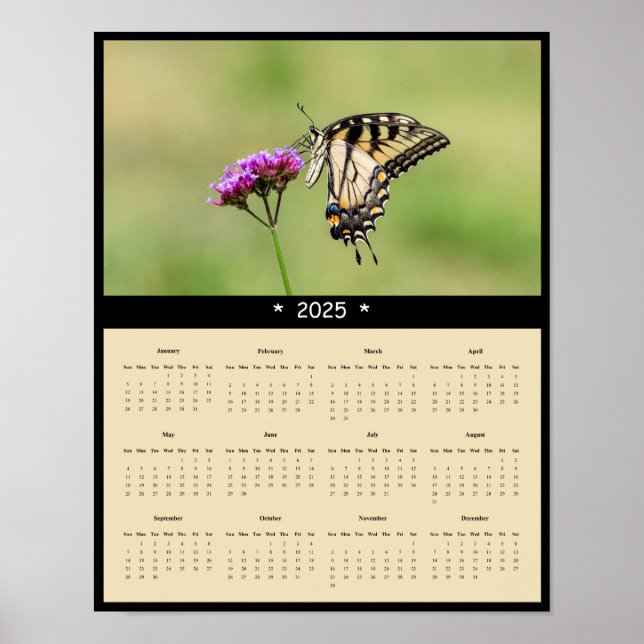 Affiche Calendrier des papillons à queue noire de l'Est 20 (Devant)