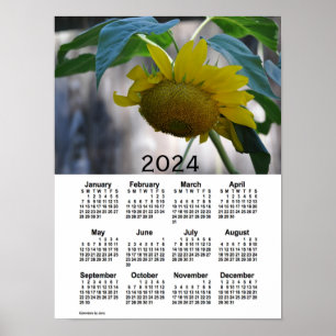 Affiche Calendrier des tournesols 2024 par Janz