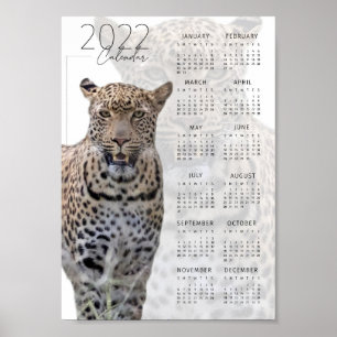 Affiche Calendrier faune léopard 2022