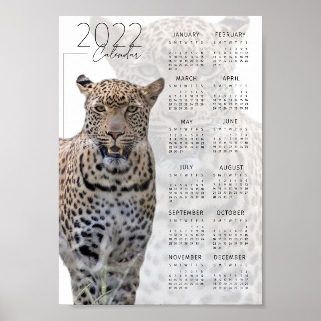 Affiche Calendrier faune léopard 2022 (Devant)