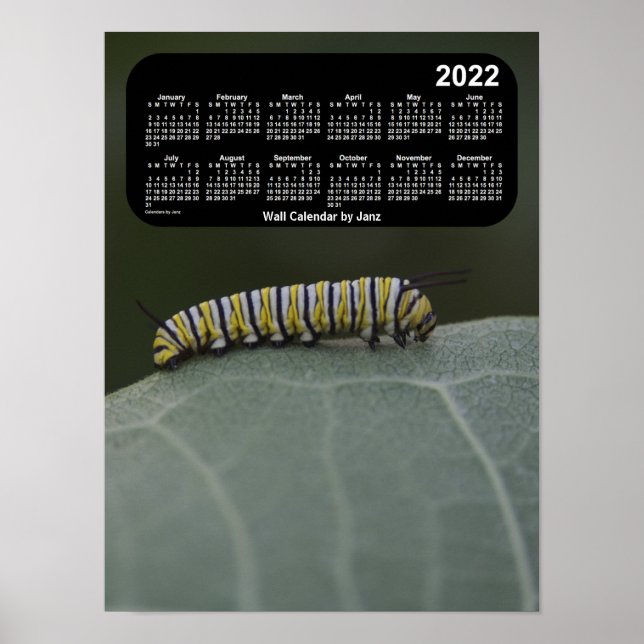 Affiche Calendrier Monarch Caterpillar 2022 par Janz (Devant)