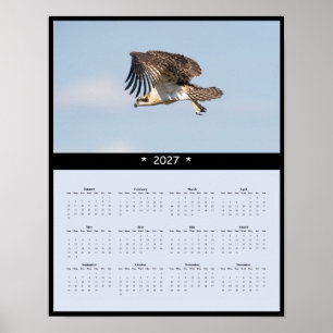 Affiche Calendrier mural 027 Balbuzard - Raptors pêcheurs