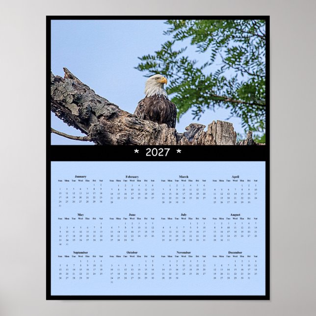 Affiche Calendrier mural 2027 Aigle royal - Esprit en vol (Devant)