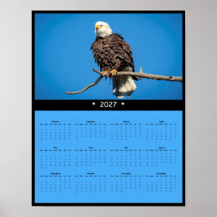Affiche Calendrier mural 2027 Aigle royal - Regard perçant