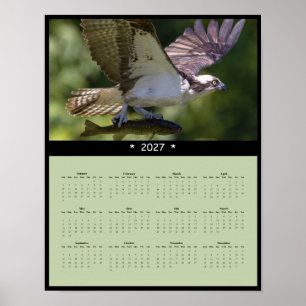 Affiche Calendrier Mural 2027 Balbuzard - Faune en Vol