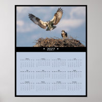 Calendrier Mural 2027 Balbuzard - Rapaces Majestue