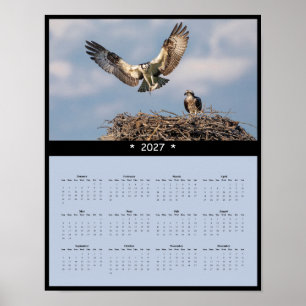 Affiche Calendrier Mural 2027 Balbuzard - Rapaces Majestue