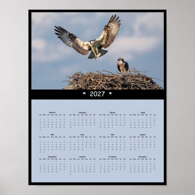 Affiche Calendrier Mural 2027 Balbuzard - Rapaces Majestue (Devant)