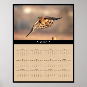 Affiche Calendrier mural 2027 Busard Saint-Martin Faucon à