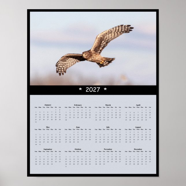 Affiche Calendrier mural 2027 Busard Saint-Martin - Marsh  (Devant)