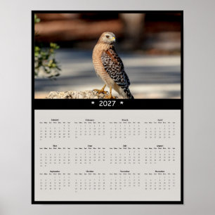Affiche Calendrier mural 2027 Buse à épaulettes - Bois