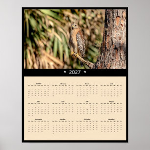 Affiche Calendrier mural 2027 Buse à épaulettes - Forêt