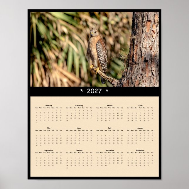 Affiche Calendrier mural 2027 Buse à épaulettes - Forêt (Devant)