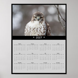 Affiche Calendrier mural 2027 Buse à queue rousse Chasseur