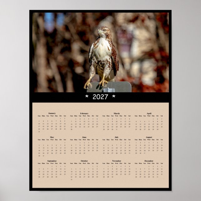 Affiche Calendrier mural 2027 Buse à queue rousse Faucon p (Devant)