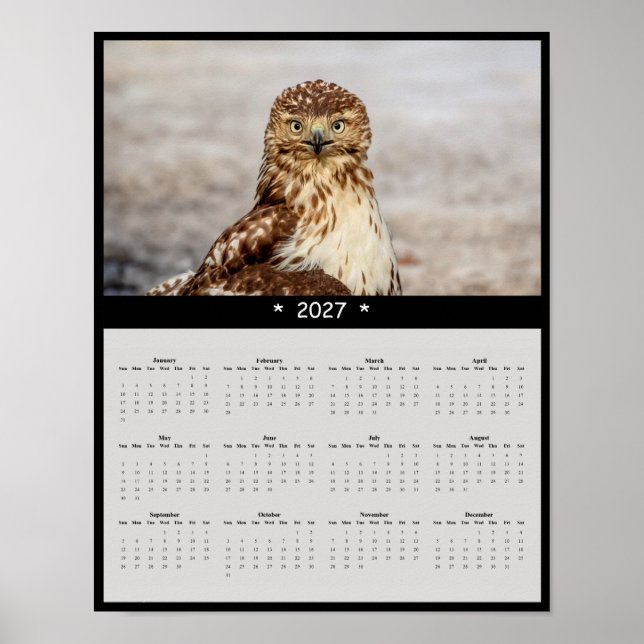 Affiche Calendrier mural 2027 Buse à queue rousse - Grands (Devant)