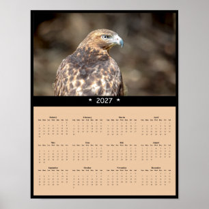 Affiche Calendrier mural 2027 Buse à queue rousse - Horizo