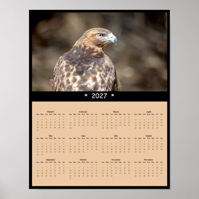 Affiche Calendrier mural 2027 Buse à queue rousse - Horizo (Devant)