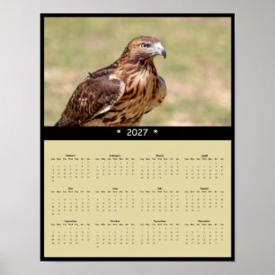 Affiche Calendrier mural 2027 Buse à queue rousse - Raptor