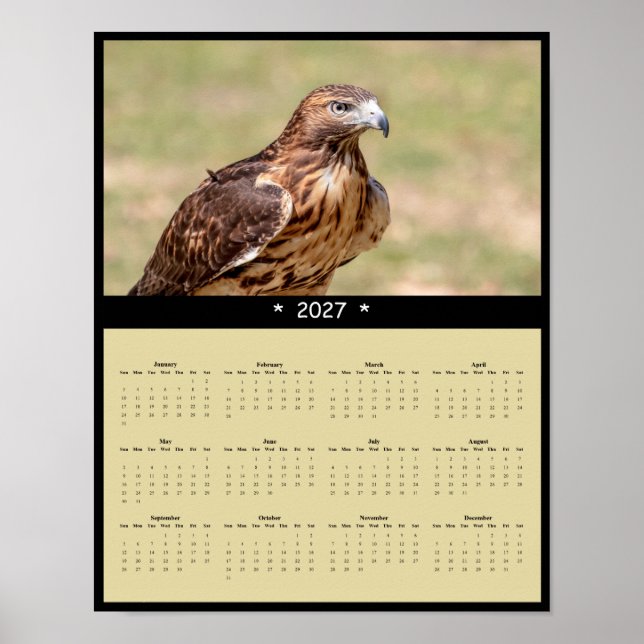 Affiche Calendrier mural 2027 Buse à queue rousse - Raptor (Devant)