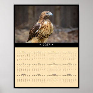 Affiche Calendrier mural 2027 Buse à queue rousse - Raptor