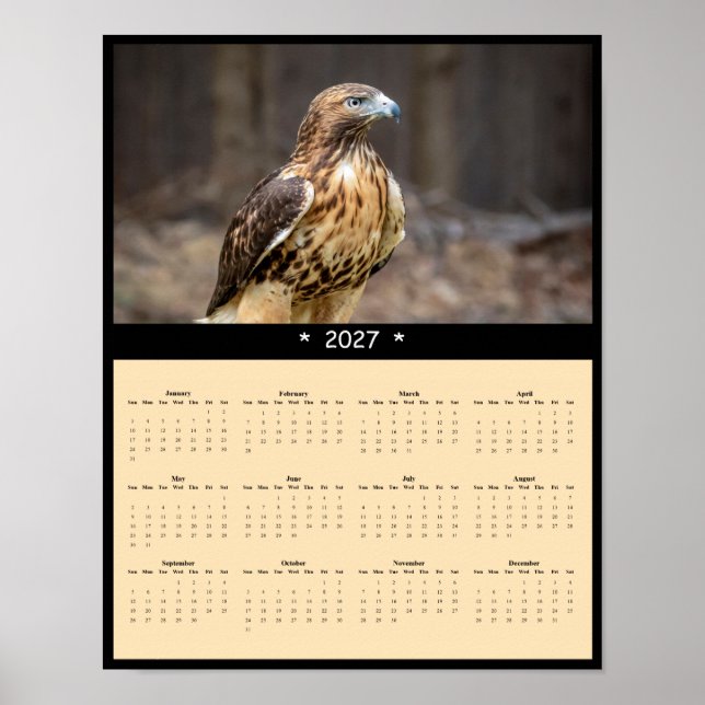 Affiche Calendrier mural 2027 Buse à queue rousse - Raptor (Devant)