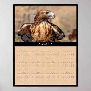Affiche Calendrier Mural 2027 Buse à queue rousse - Raptor