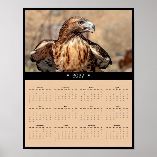 Affiche Calendrier Mural 2027 Buse à queue rousse - Raptor (Devant)